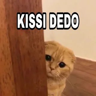❤️ emoji @Itz_Keshav_Op Cat's pack Telegram sticker 23 of 36