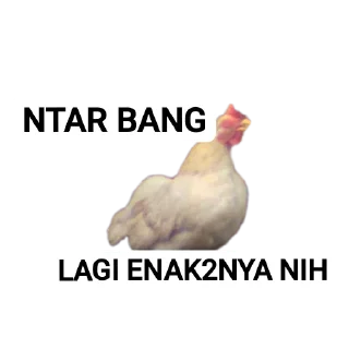 🐦 emoji PUNYA AING Telegram sticker 11 of 120