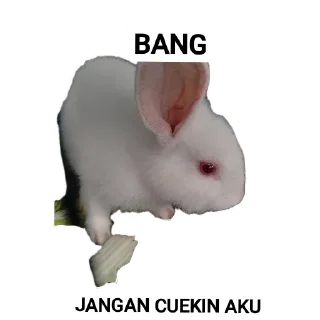 🐾 emoji PUNYA AING Telegram sticker 12 of 120