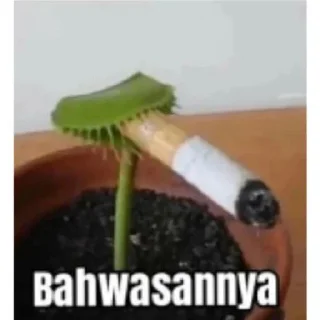 Sticker from ap luwhj