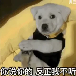 😐 emoji 阿猫的动物园 @ymzscat Telegram sticker 7 of 48