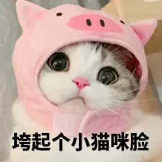 Sticker from 自来也自用