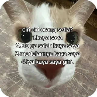 👍 emoji Cmrn Telegram sticker 18 of 22