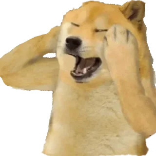 😫 emoji Prime Mixture Pack Telegram sticker 15 of 120