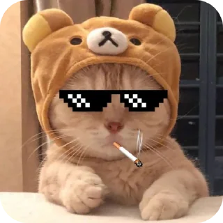 🧸 emoji ┃恶 𝗝𝗜𝗠𝟲𝗡 {𝟬𝟳} favourite Telegram sticker 15 of 21
