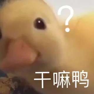 🤨 emoji 信誉盘跑分联系 @vitocolyon2 Telegram sticker 19 of 120