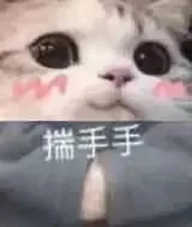 ❤️ emoji 辉儿の日常表情包 Telegram sticker 6 of 81
