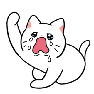💬 emoji 오늘도 김춘배요 By @KakaoEmoticon Telegram sticker 6 of 24
