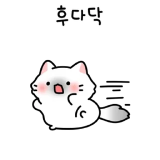 💬 emoji 말랑뽀짝 고양이들 3 By @KakaoEmoticon Telegram sticker 13 of 24