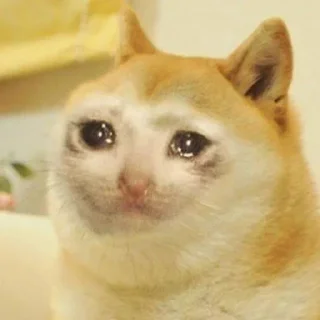 🥺 emoji @Shiv_Bhakt_ll 𓆩𝐕𝐢𝐒𝐇∆𝐋𓆪̥乛[🇮🇳]™ — @stckrRobot Telegram sticker 11 of 56