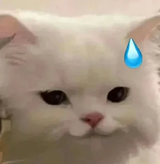 😅 emoji 小羊 Telegram sticker 18 of 48
