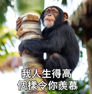 😎 emoji 買嬲的動物園 Telegram sticker 12 of 110