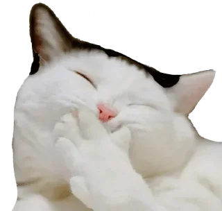 Sticker from senpai — @stckrRobot