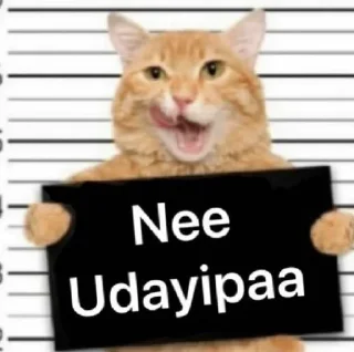 😂 emoji 🎊FANS GROUP🎊 Telegram sticker 5 of 41