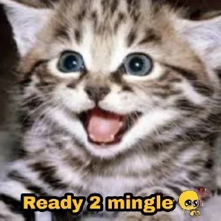 😂 emoji 🎊FANS GROUP🎊 Telegram sticker 21 of 41