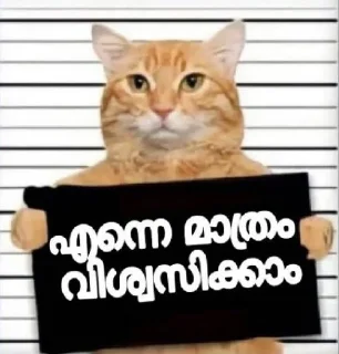 😅 emoji 🎊FANS GROUP🎊 Telegram sticker 6 of 41
