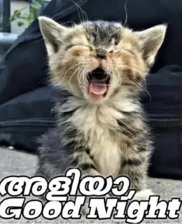 😴 emoji 🎊FANS GROUP🎊 Telegram sticker 3 of 41