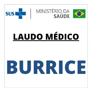 😀 emoji LAUDO MÉDICO SINCERO 📝🩺 Telegram sticker 5 of 15