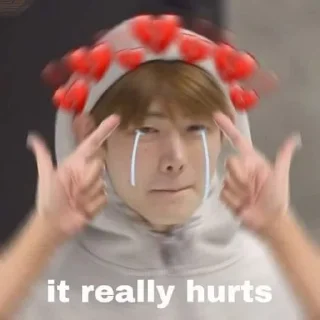 Sticker from Enhypen Sunghoon Memes