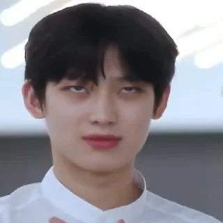 🙄 emoji Enhypen Sunoo Memes Telegram sticker 5 of 68