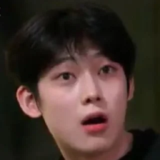😧 emoji Enhypen Sunoo Memes Telegram sticker 24 of 68