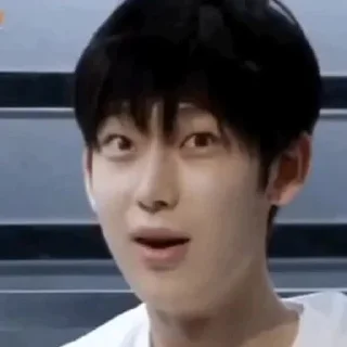 😮 emoji Enhypen Sunoo Memes Telegram sticker 22 of 68