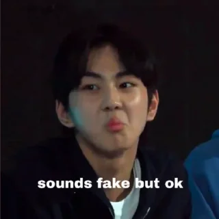 Sticker from Enhypen Jungwon memes