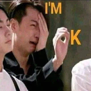 😭 emoji Enhypen Jay memes Telegram sticker 9 of 65