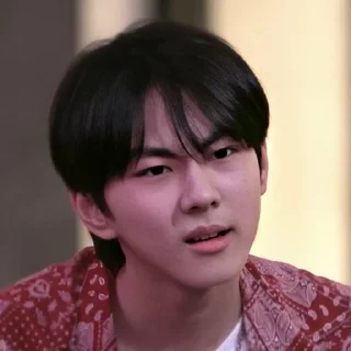 🤨 emoji Enhypen Jungwon memes Telegram sticker 11 of 85