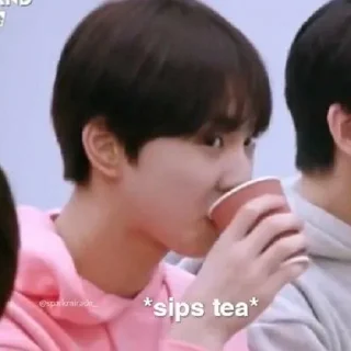 🍵 emoji Enhypen Jungwon memes Telegram sticker 6 of 85