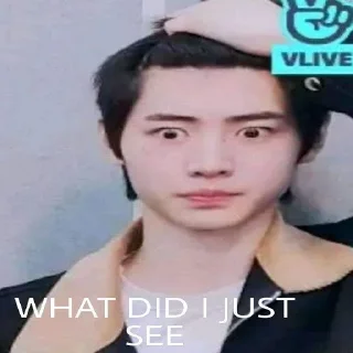 Sticker from Enhypen Sunghoon Memes