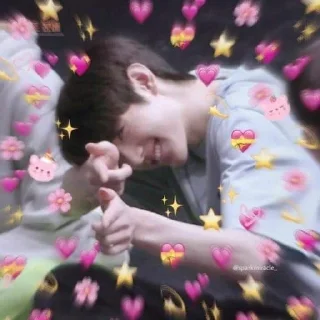😍 emoji Enhypen Sunghoon Memes Telegram sticker 20 of 57