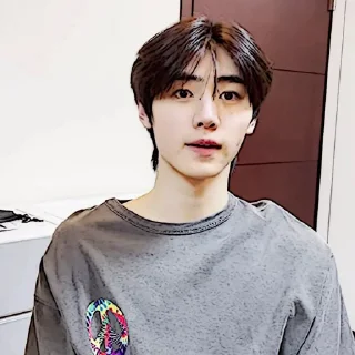 🧩 emoji sunghoon :: @gudangnyastikerrp Telegram sticker 10 of 32