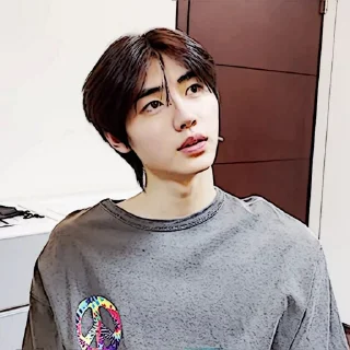 🧩 emoji sunghoon :: @gudangnyastikerrp Telegram sticker 12 of 32