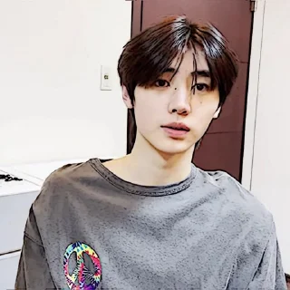 🧩 emoji sunghoon :: @gudangnyastikerrp Telegram sticker 17 of 32