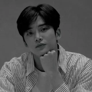 🍽 emoji Rowoon · @liachy Telegram sticker 11 of 41