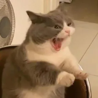 😡 emoji Your stickers - @my_stckers_bot Telegram sticker 16 of 120