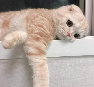 🙁 emoji Your stickers - @my_stckers_bot Telegram sticker 11 of 120