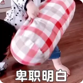 Sticker from 小孩表情包点击 @shayudidibiaoqing