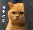 😐 emoji 个人收藏 Telegram sticker 18 of 52