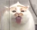 😛 emoji 个人收藏 Telegram sticker 19 of 52