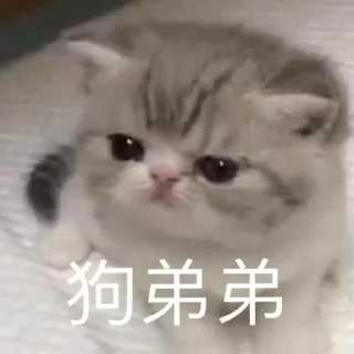 😝 emoji 坏男人  @biaoqingbao01 Telegram sticker 14 of 98