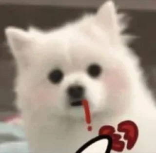 🐼 emoji cutiee dog ^___^ Telegram sticker 13 of 13