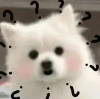 🐼 emoji cutiee dog ^___^ Telegram sticker 3 of 13