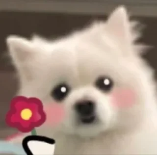 🐼 emoji cutiee dog ^___^ Telegram sticker 7 of 13