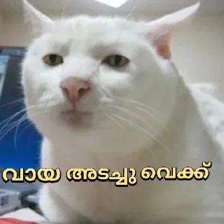 Sticker from Poocha ser