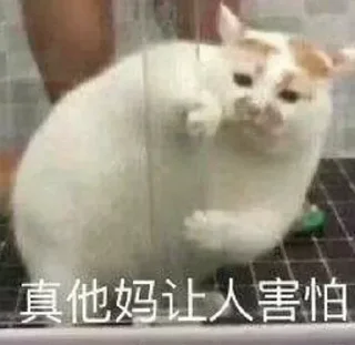 😱 emoji 瓦里斯 Telegram sticker 18 of 77