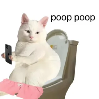 💩 emoji 可爱猫猫-@maoSMS Telegram sticker 19 of 90