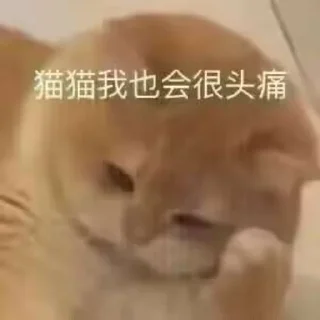 🙁 emoji 可爱猫猫-@maoSMS Telegram sticker 1 of 90