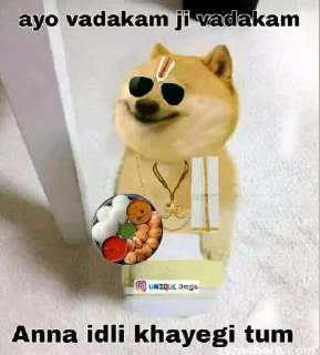 🤓 emoji Kind's Dogesh Telegram sticker 14 of 22
